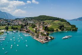 Drohnenbild Spiez: Schiffländte, Bucht, See, Rebberg Spiez